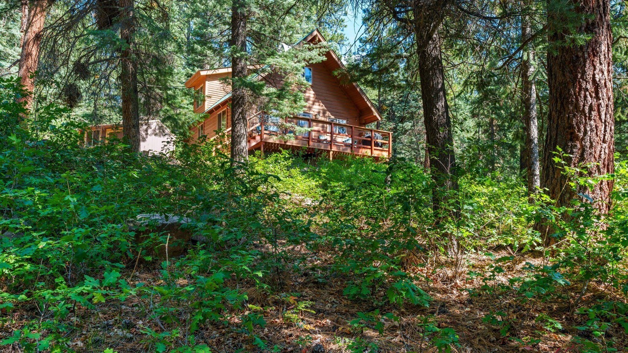 Photo of Outdoor in Los Ranchitos Estates