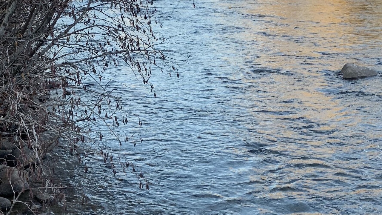 Photo of Others in San Juan River Village