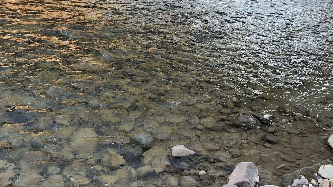 Photo of Others in San Juan River Village