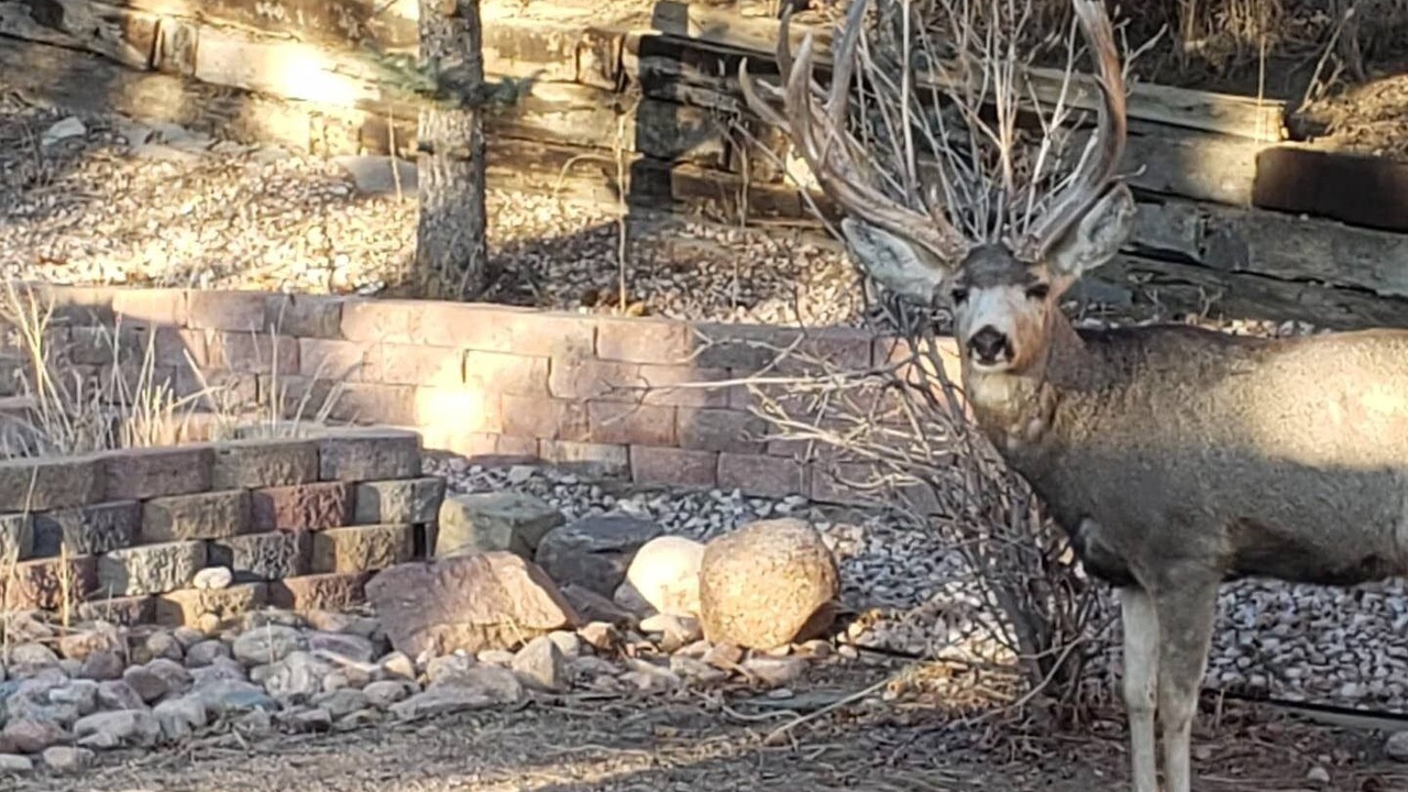 Photo of Outdoor in Cheyenne Meadows