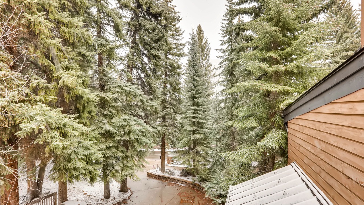 Photo of Others in Vail