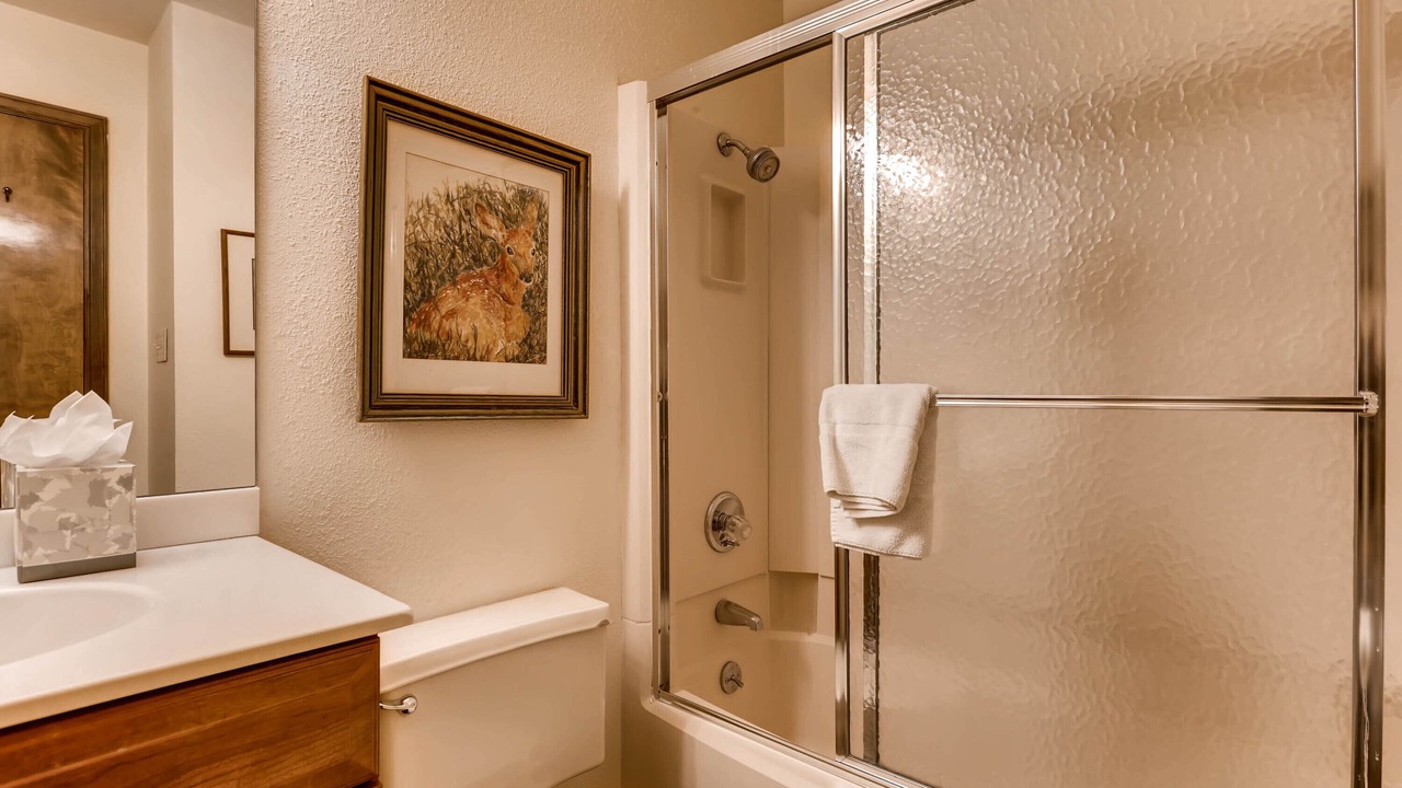 Photo of Bathroom in Vail