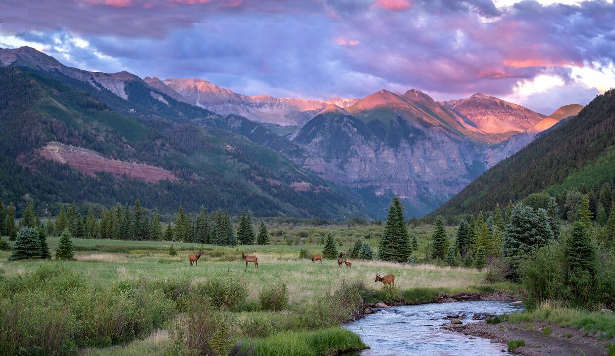 Photo of Others in Telluride
