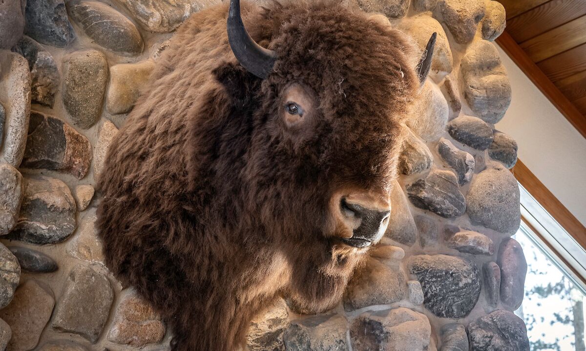 Photo of Others in Boulder Ridge