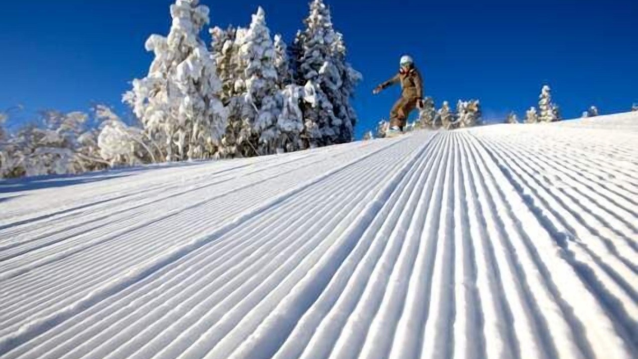 Photo of Others in Beaver Creek