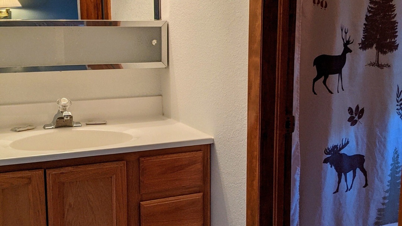 Photo of Bathroom in Almont