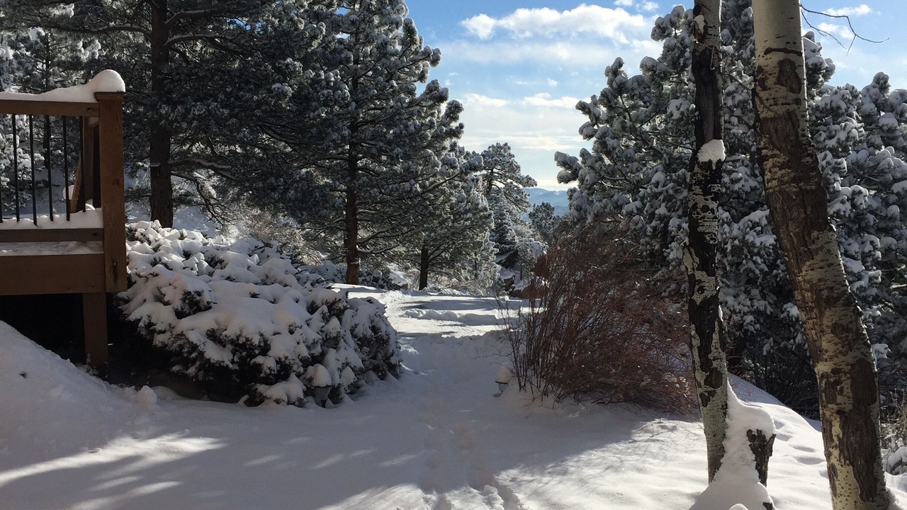 Photo of Outdoor in Evergreen
