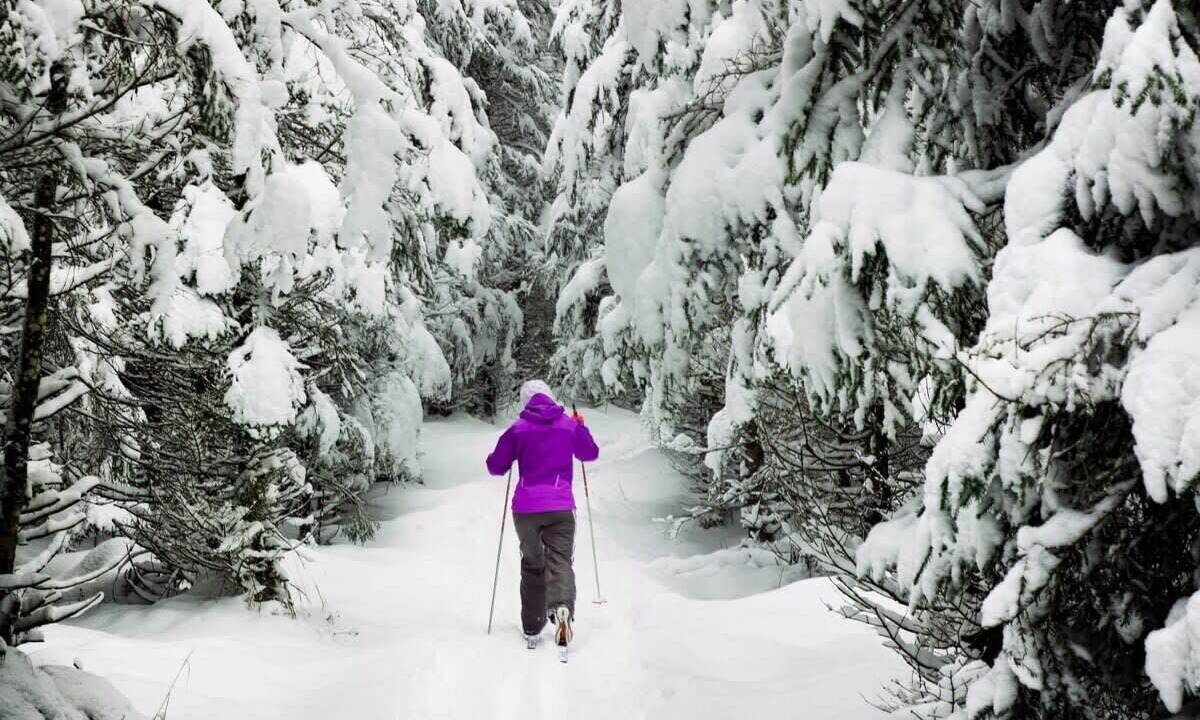 Photo of Others in The Highlands
