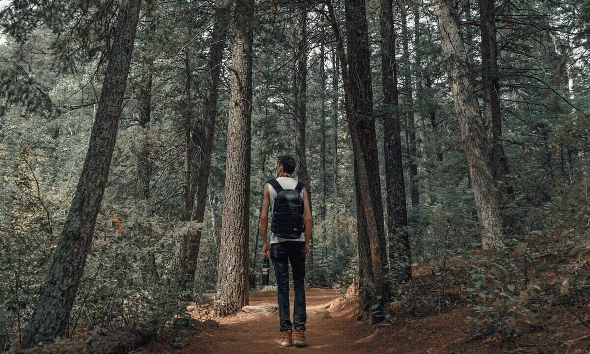 Photo of Outdoor in The Highlands
