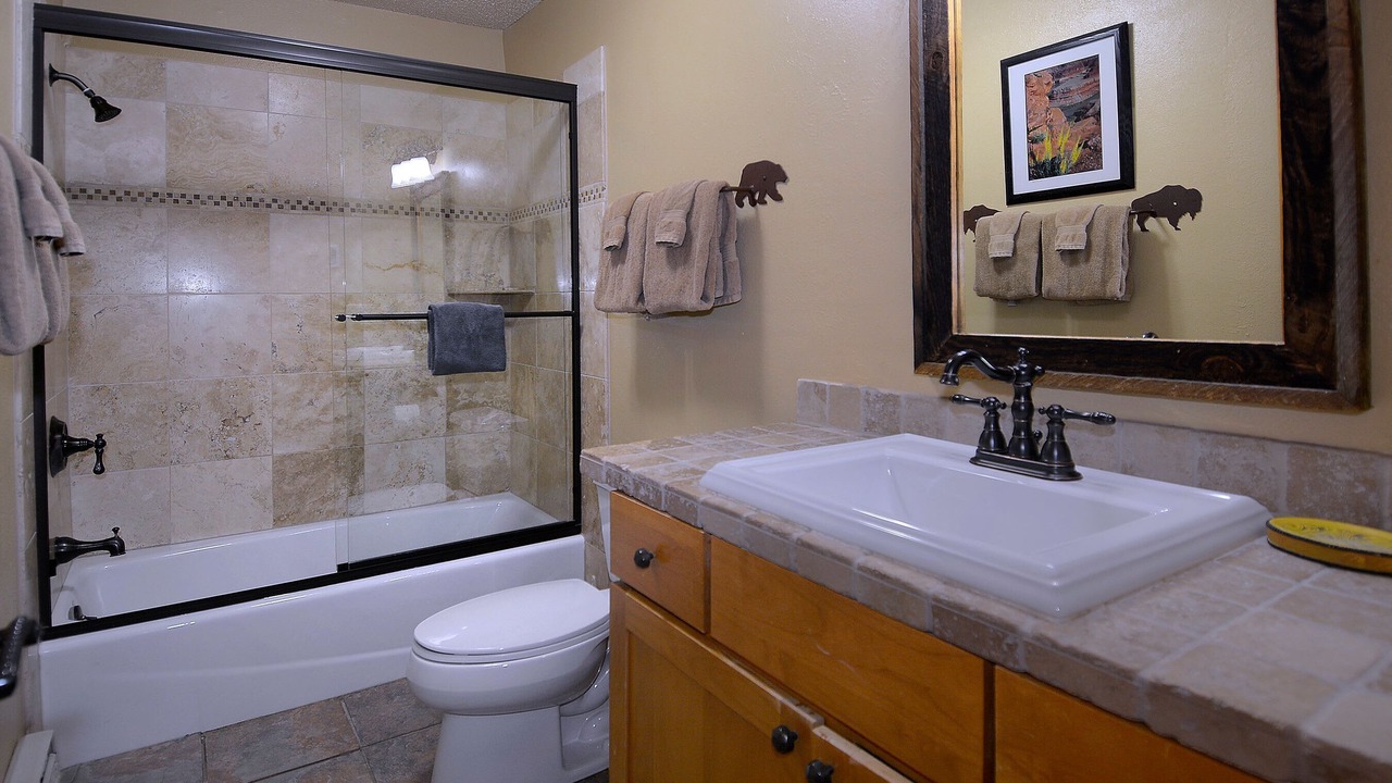 Photo of Bathroom in Crested Butte