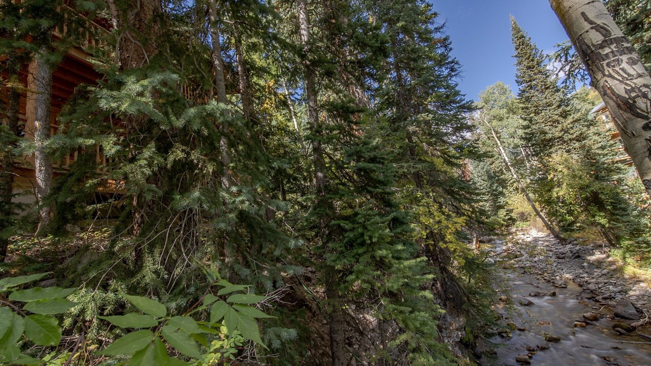 Photo of Outdoor in Garfield