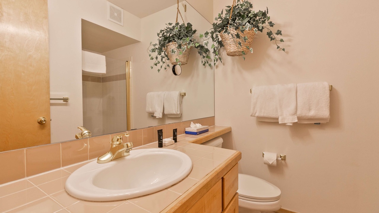 Photo of Bathroom in Peak 9