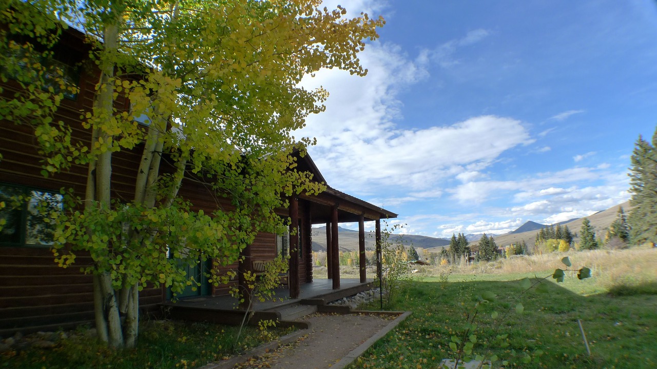 Photo of Outdoor in Almont