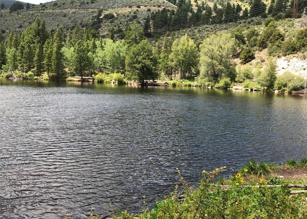 Photo of Outdoor in Whitepine