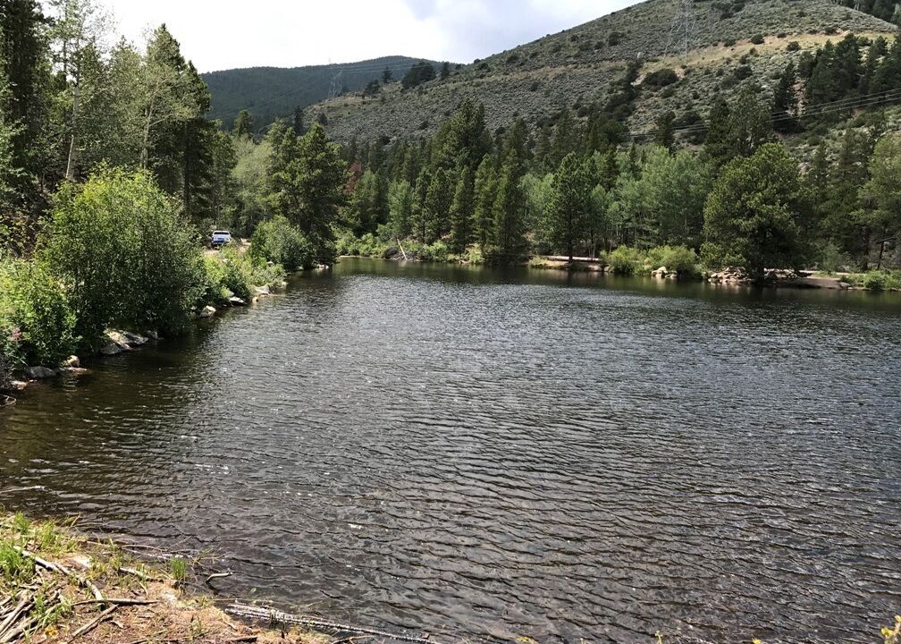 Photo of Outdoor in Whitepine
