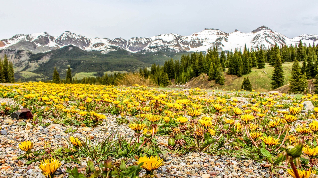 Photo of Outdoor in Mountain Village