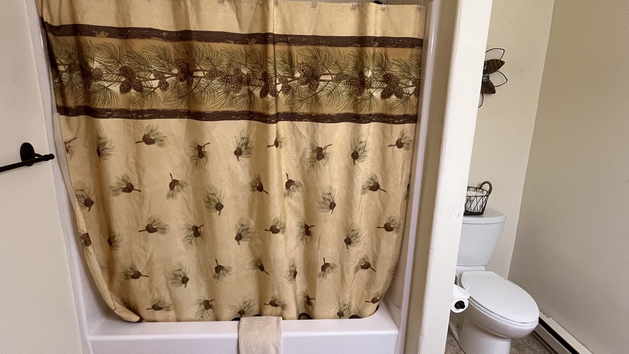 Photo of Bathroom in Almont