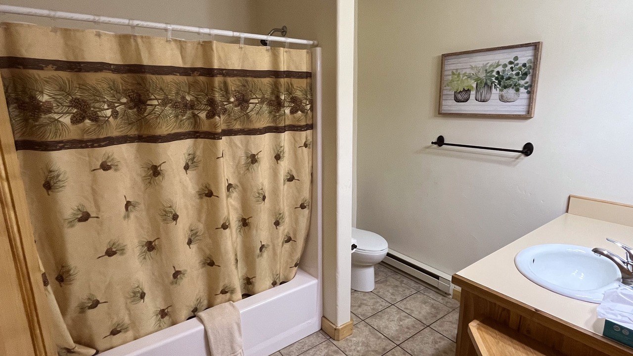 Photo of Bathroom in Almont