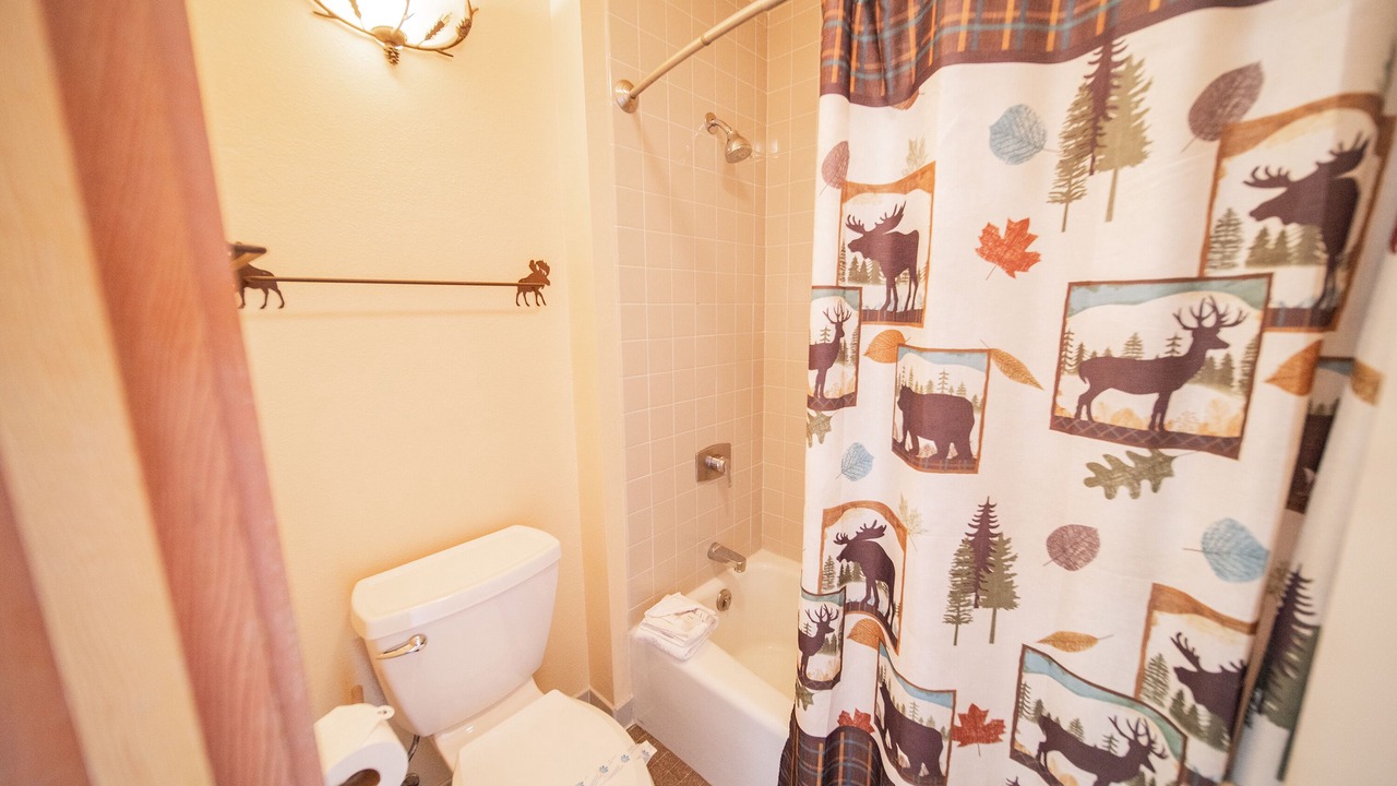Photo of Bathroom in Keystone