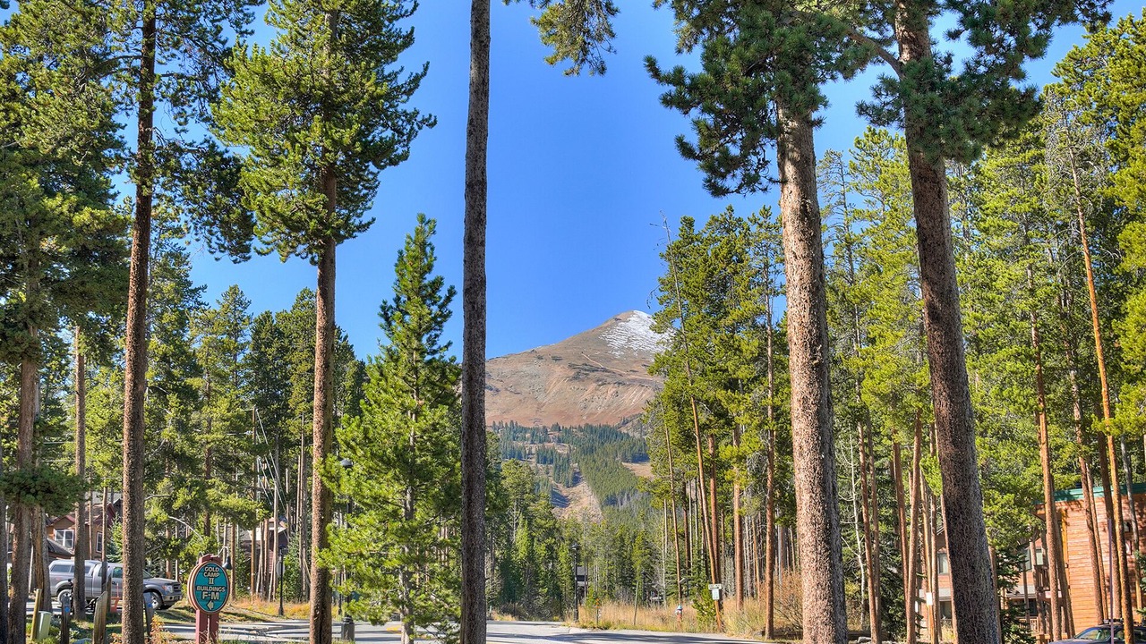 Photo of Others in Peak 8