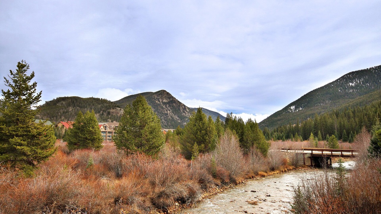 Photo of Others in Mountain House