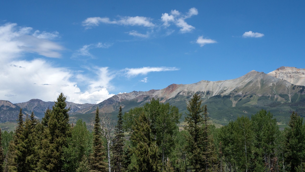Photo of Others in Mountain Village