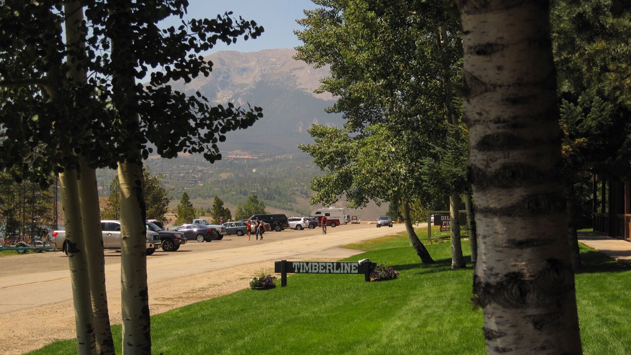 Photo of Others in Dillon
