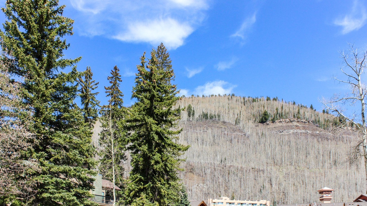 Photo of Outdoor in Purgatory