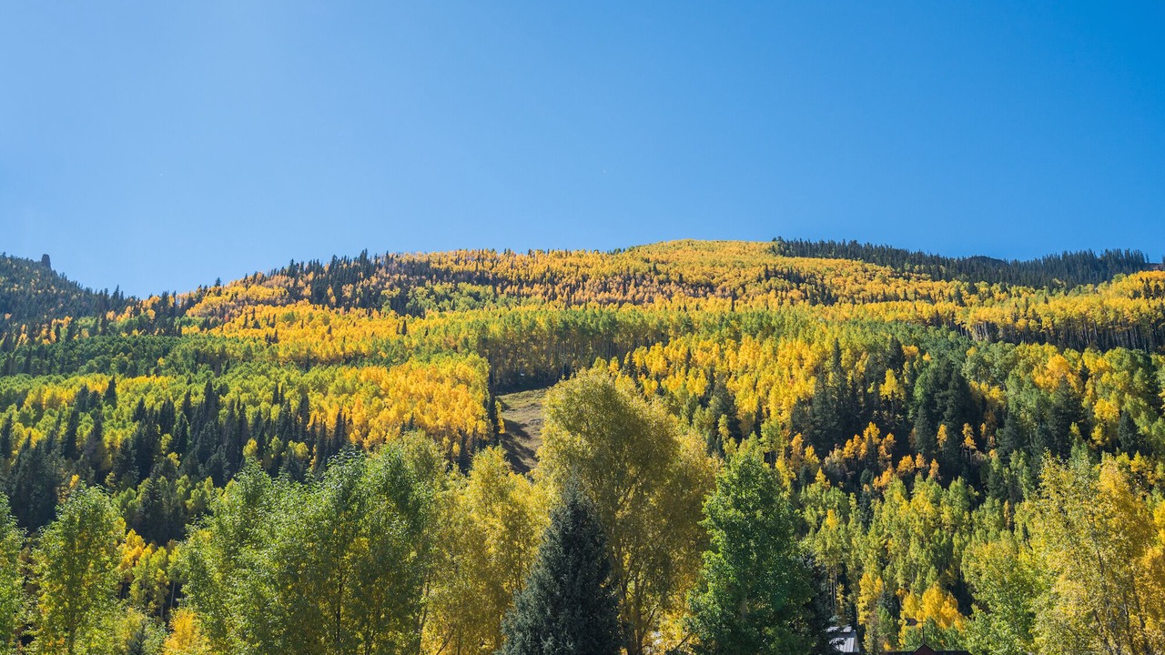 Photo of Others in Telluride
