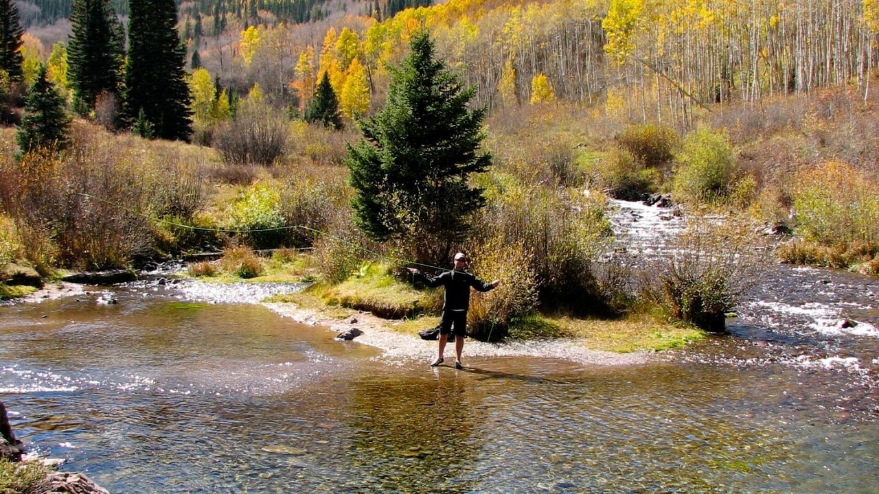 Photo of Others in Aspen