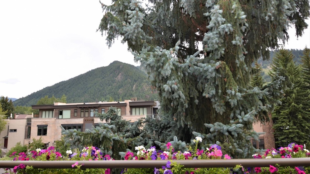 Photo of Others in Aspen