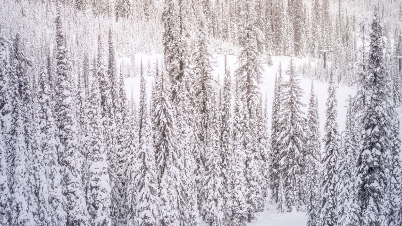 Photo of Others in Aspen
