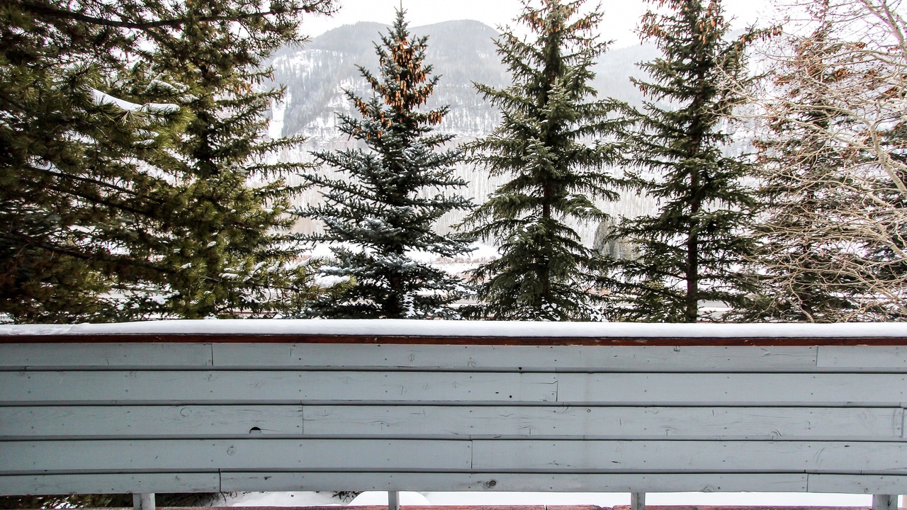 Photo of Others in Vail