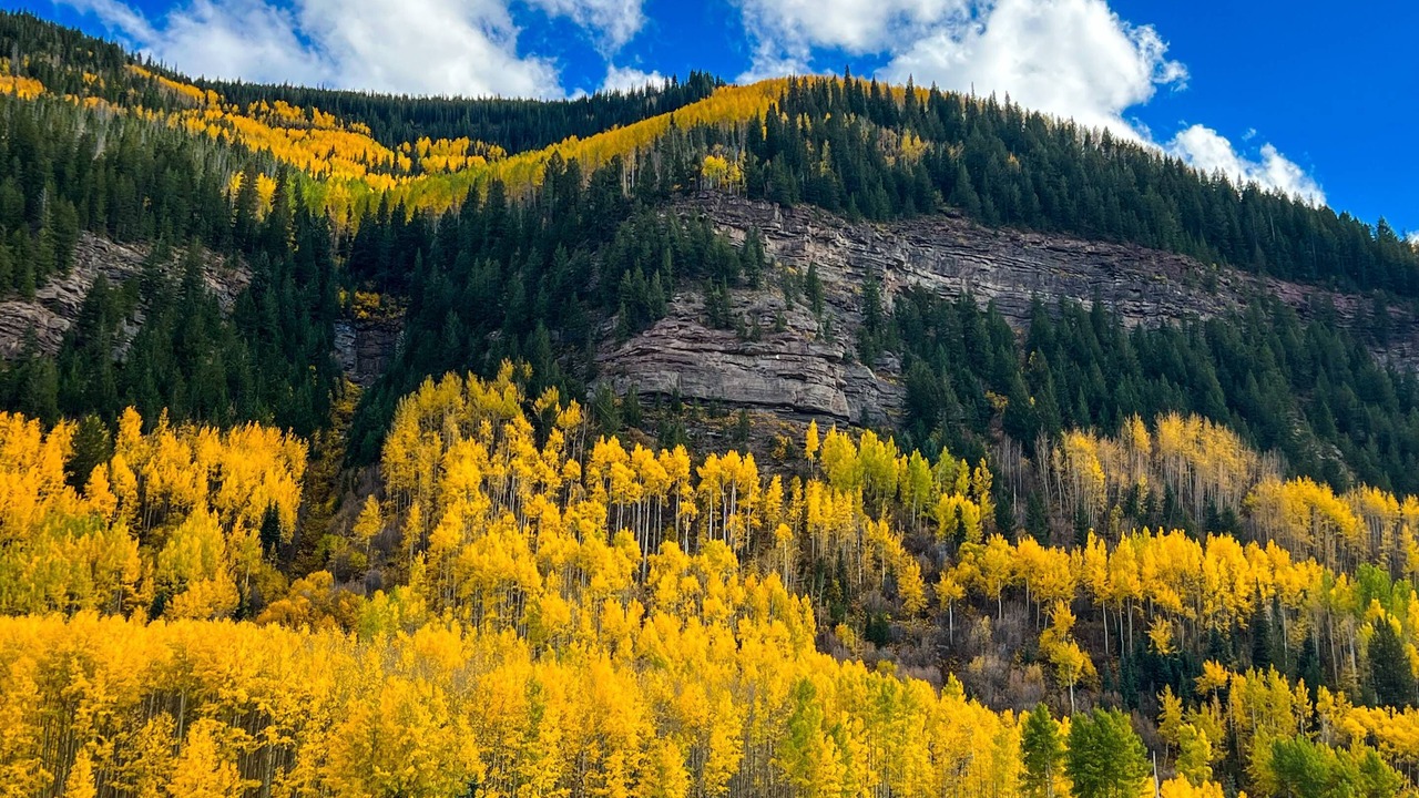 Photo of Others in Vail