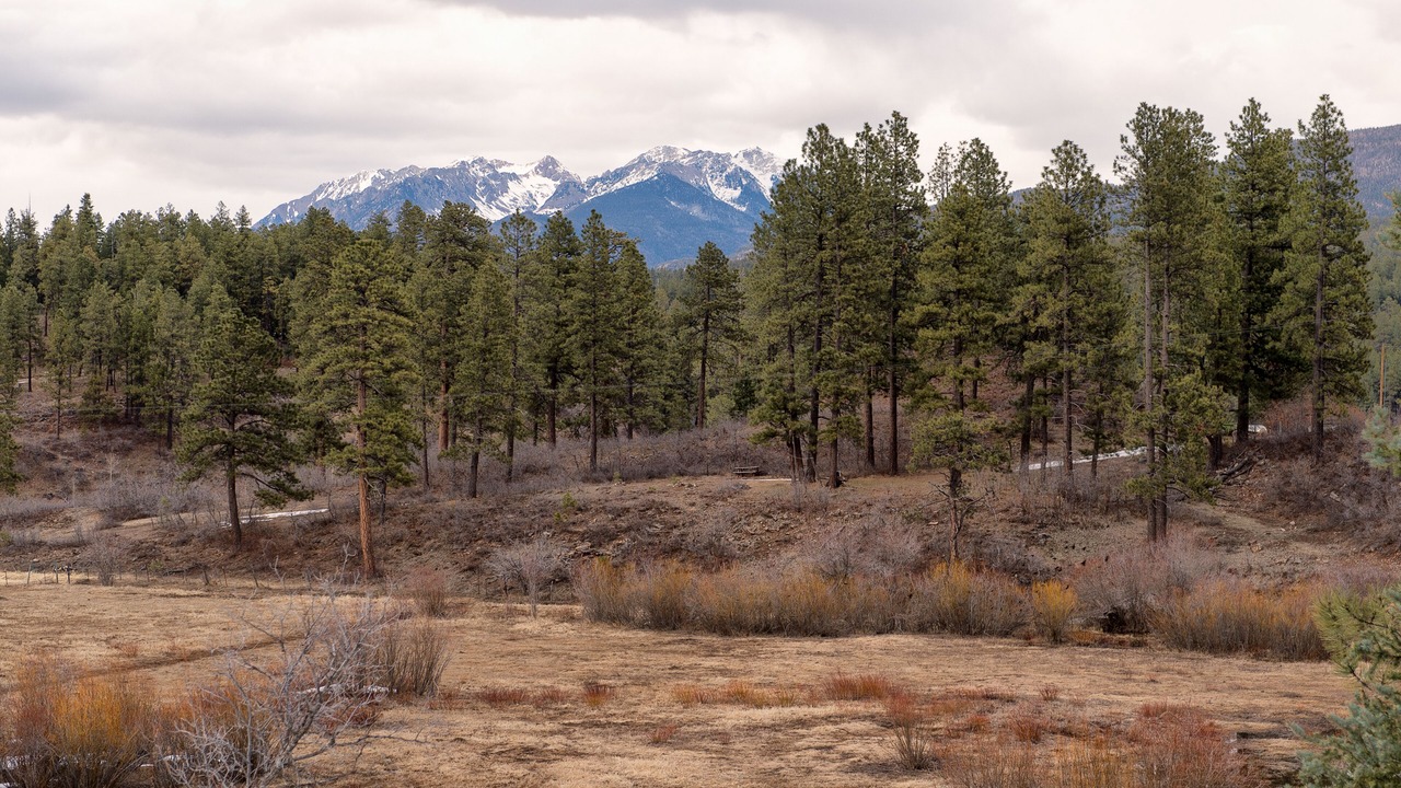 Photo of Outdoor in Purgatory