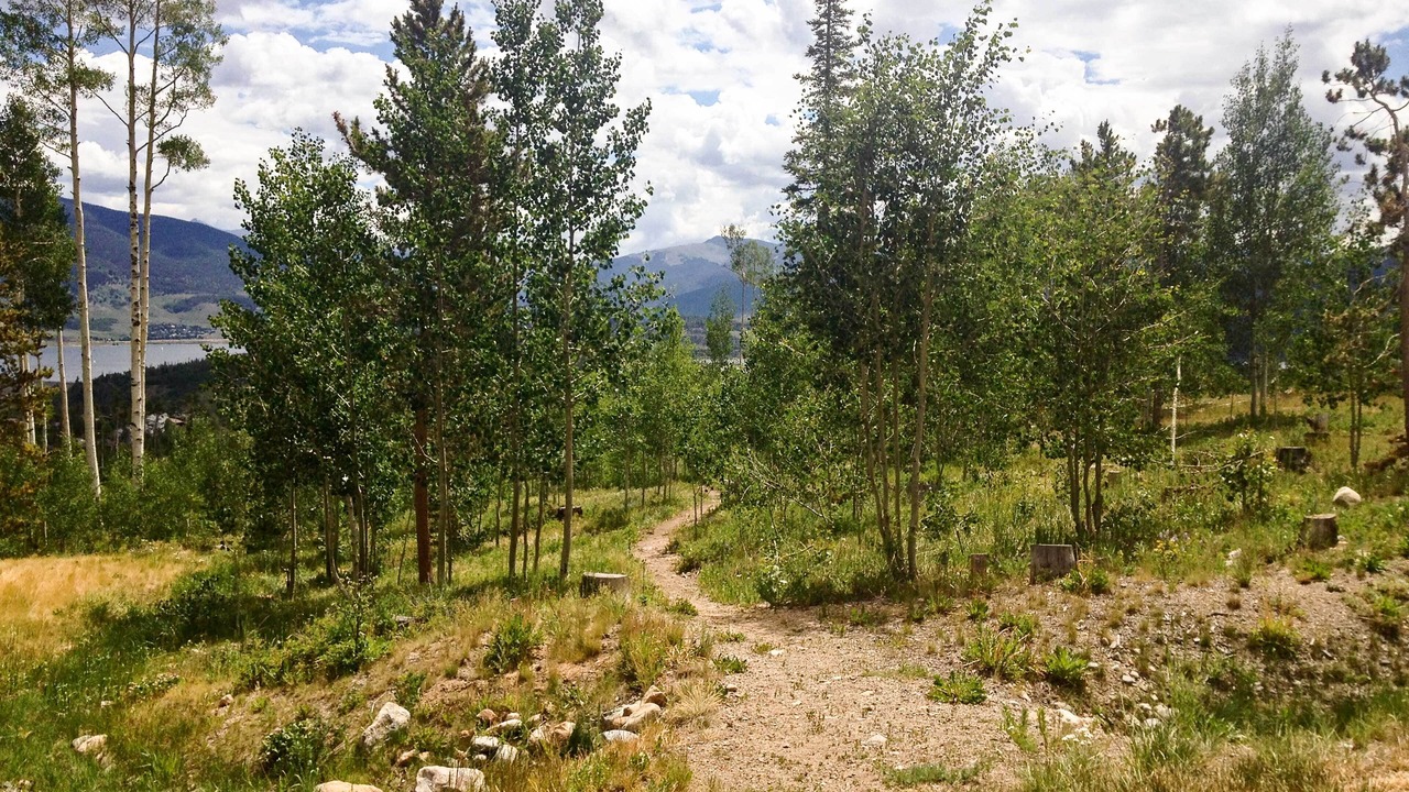 Photo of Outdoor in Wildernest