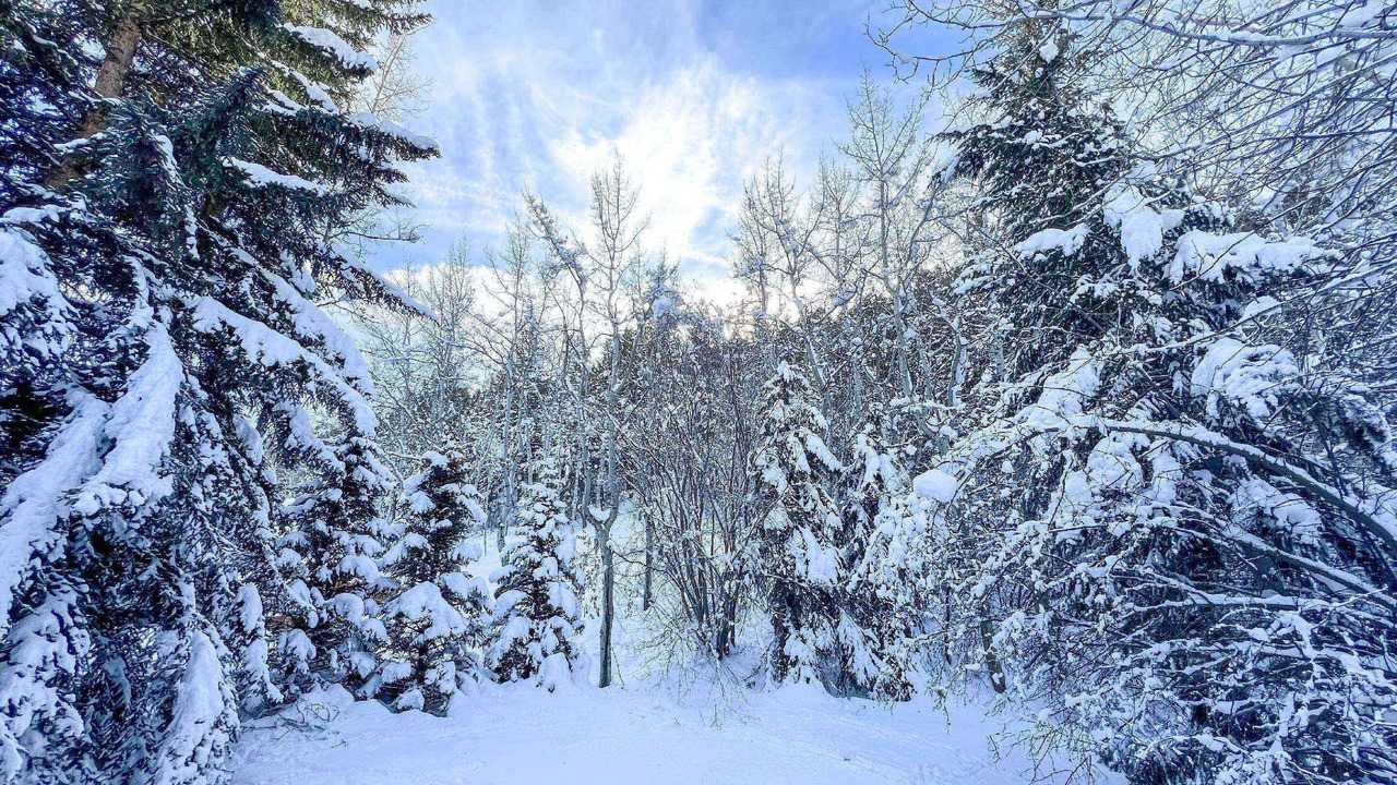 Photo of Others in Eagle-Vail