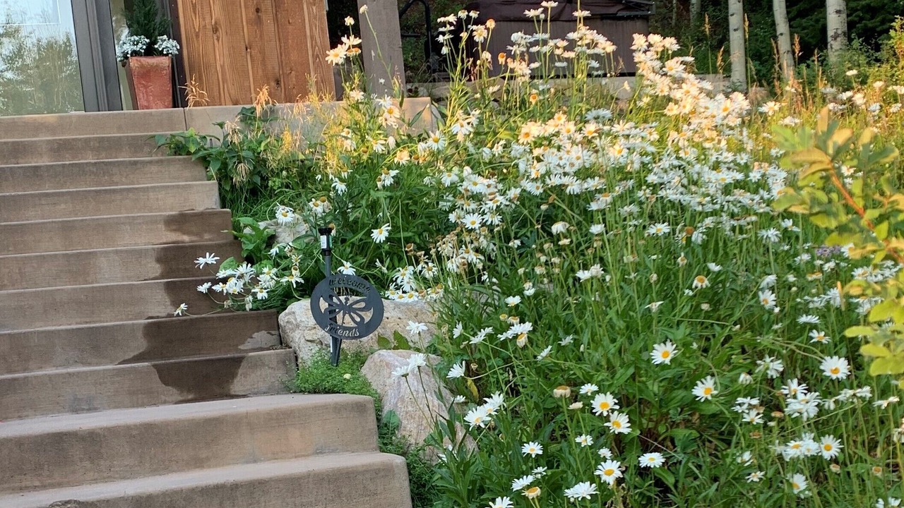 Photo of Outdoor in Snowmass Village