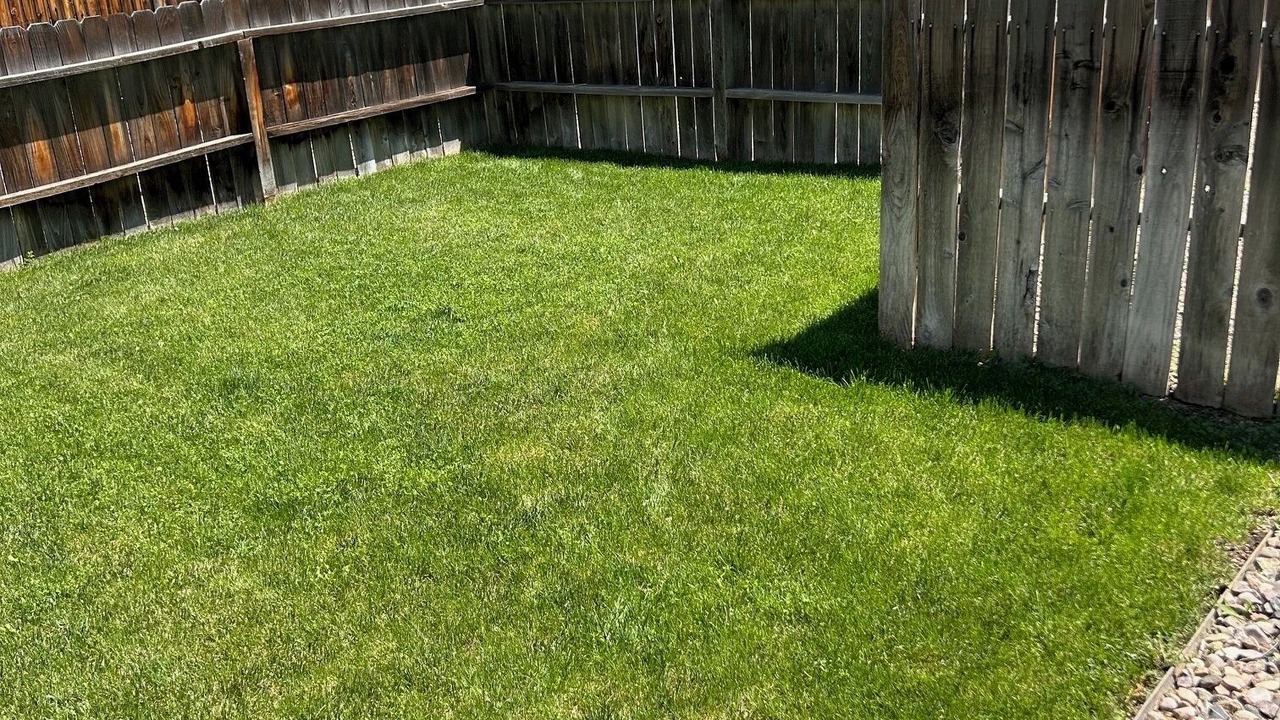 Photo of Outdoor in Fort Collins