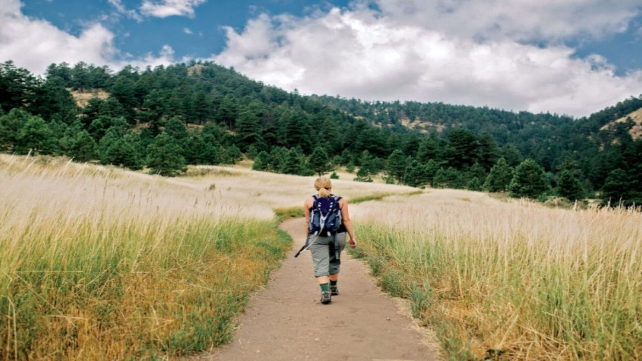 Photo of Others in Fort Collins