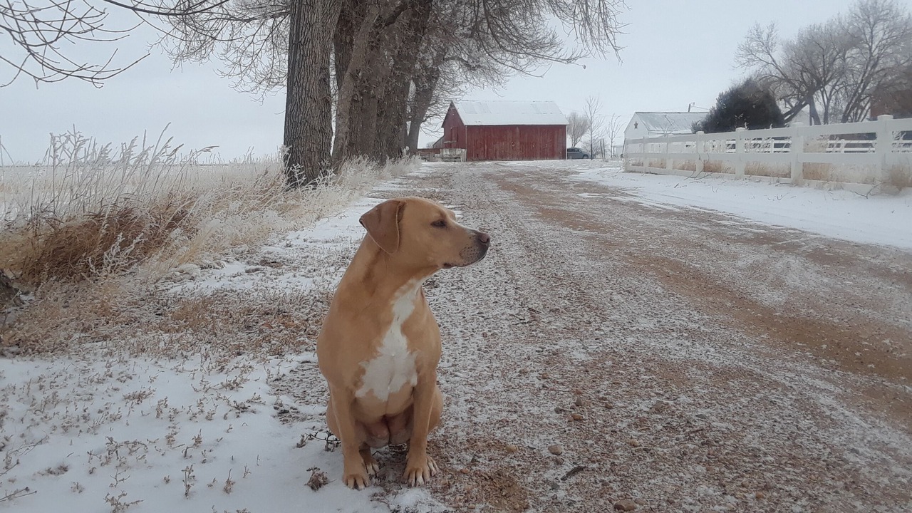 Photo of Outdoor in Eaton