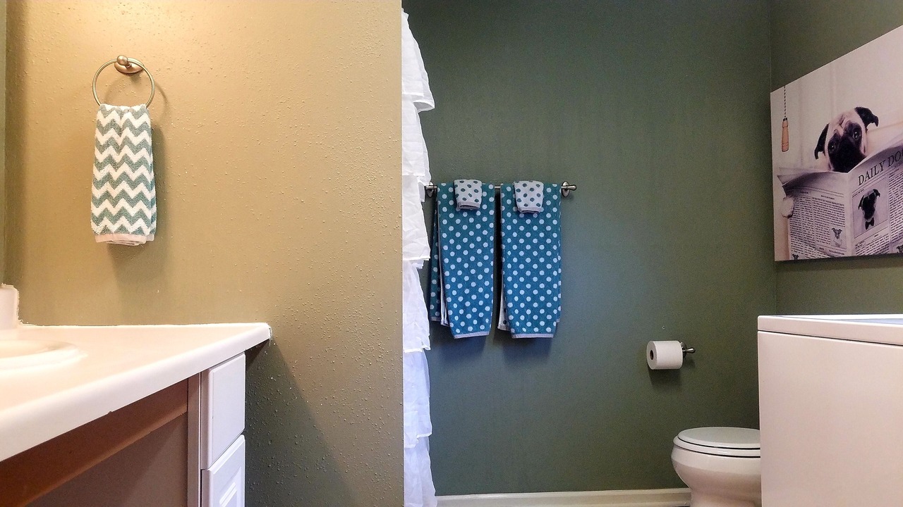 Photo of Bathroom in Lake City