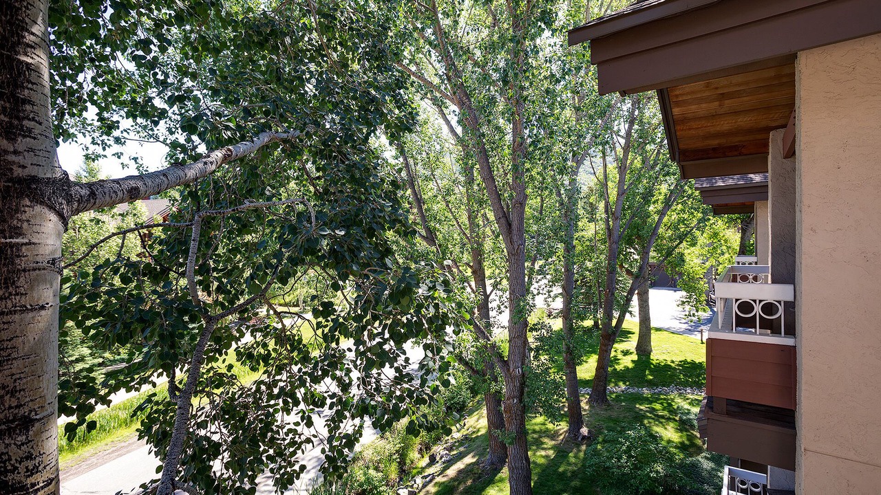 Photo of Others in Steamboat Springs