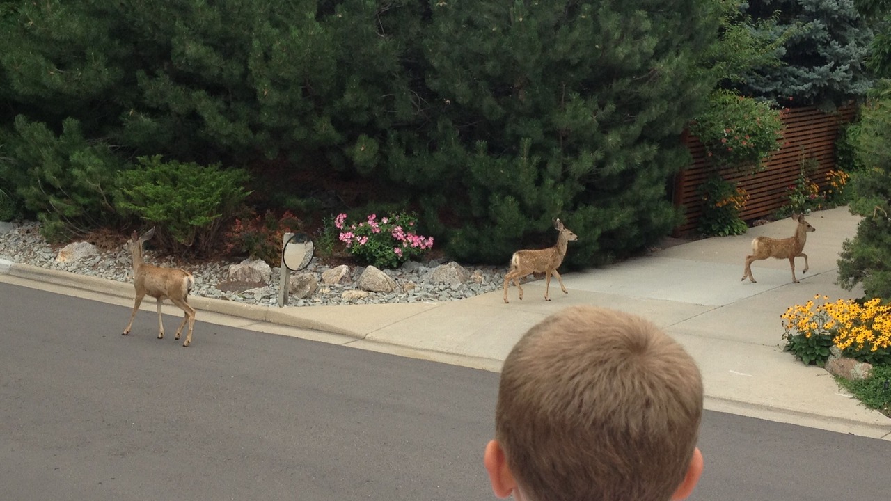 Photo of Others in Wonderland Hills