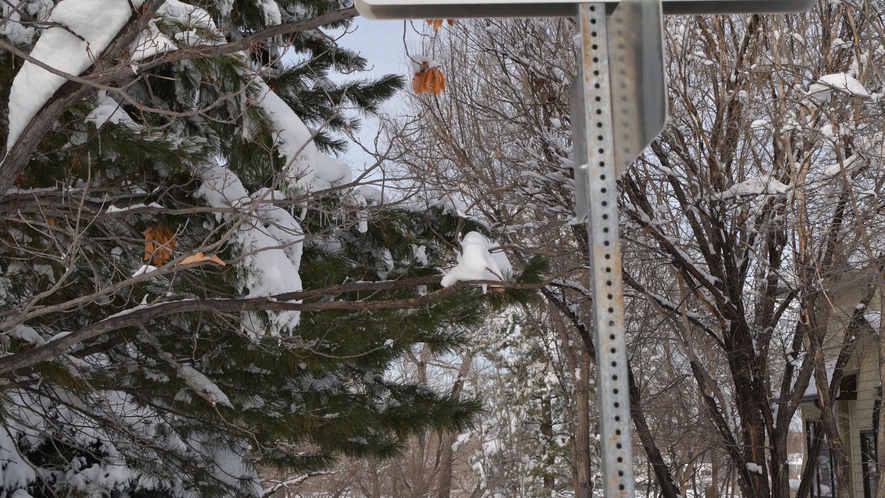 Photo of Outdoor in Wonderland Hills