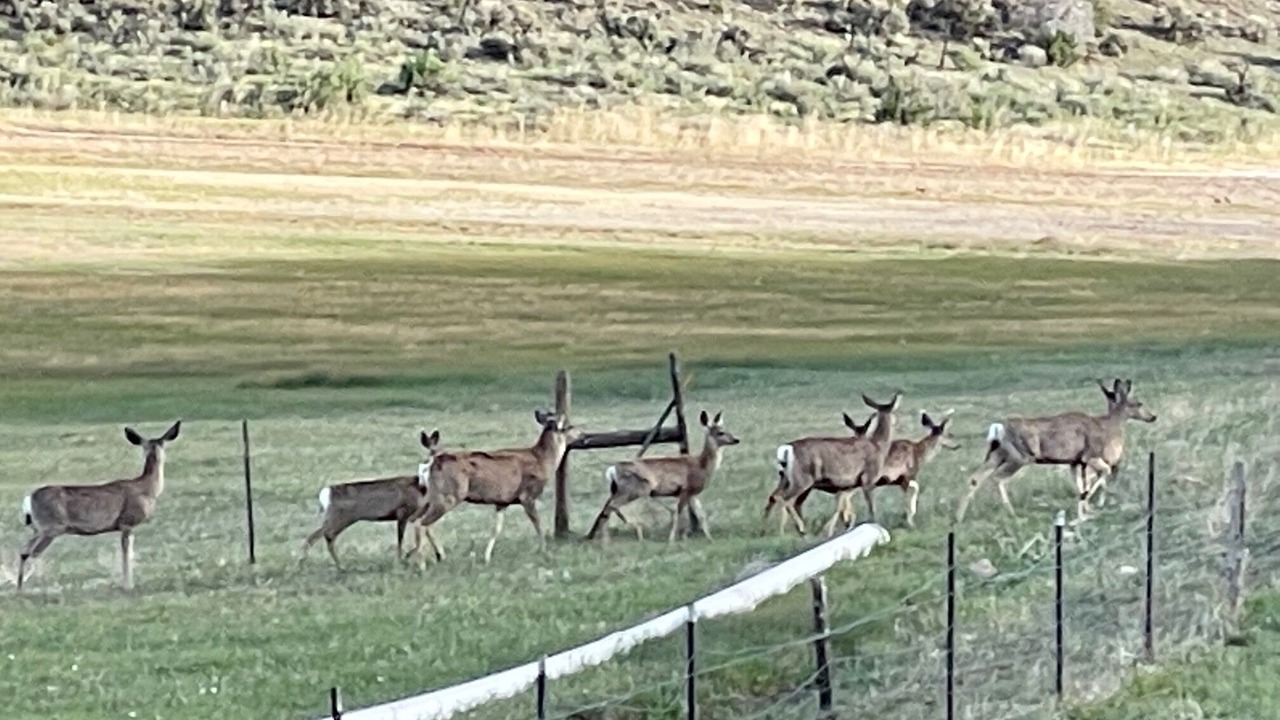 Photo of Others in Ridgway