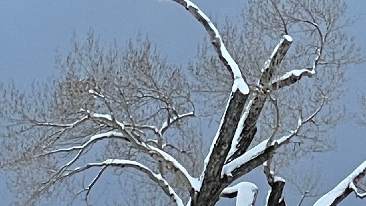 Photo of Others in Ridgway
