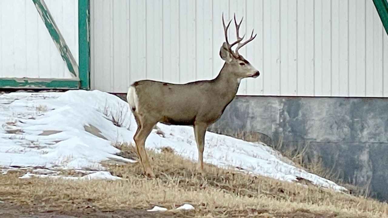 Photo of Others in Ridgway