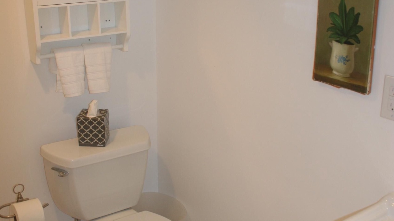 Photo of Bathroom in Cheesman Park