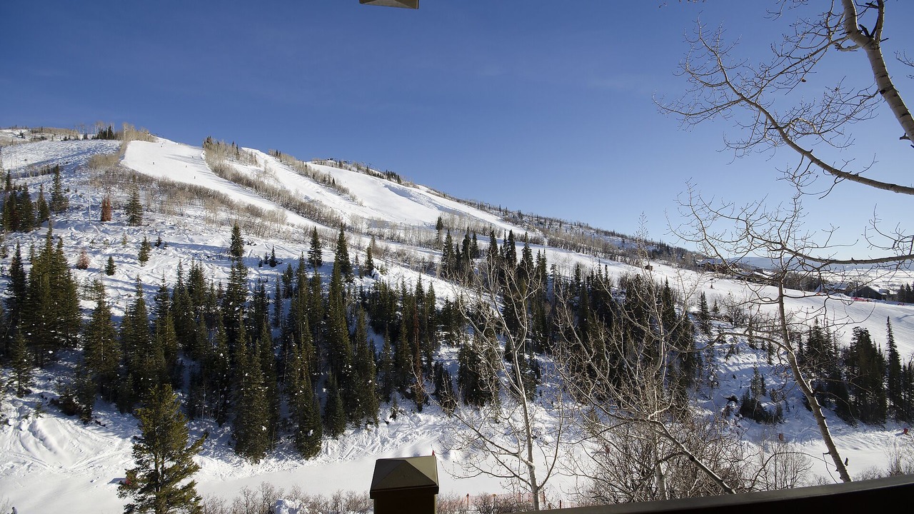 Photo of Others in Steamboat Springs